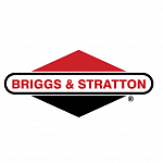 Briggs and Stratton